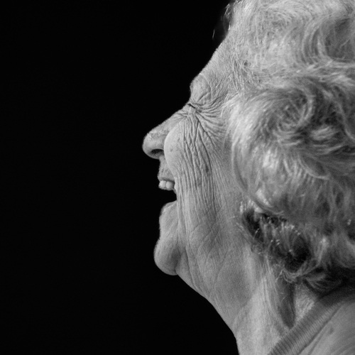 Photo #13929456