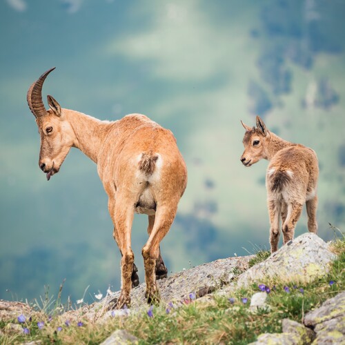 Photo #13929558