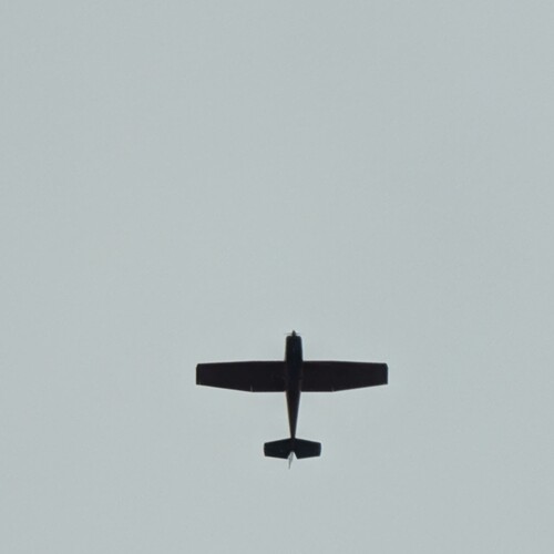 Photo #13929806