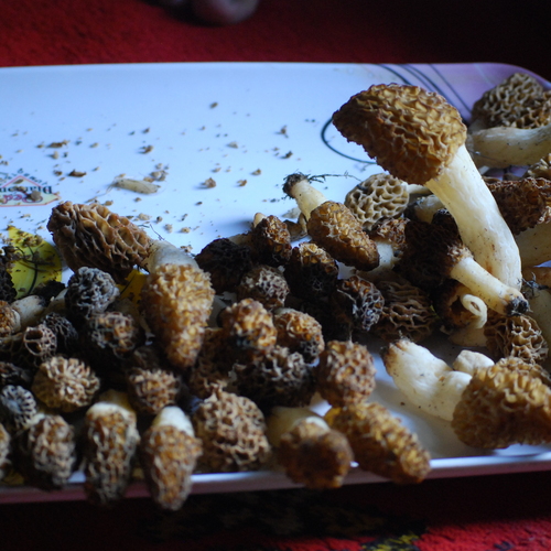 Photo #13929873