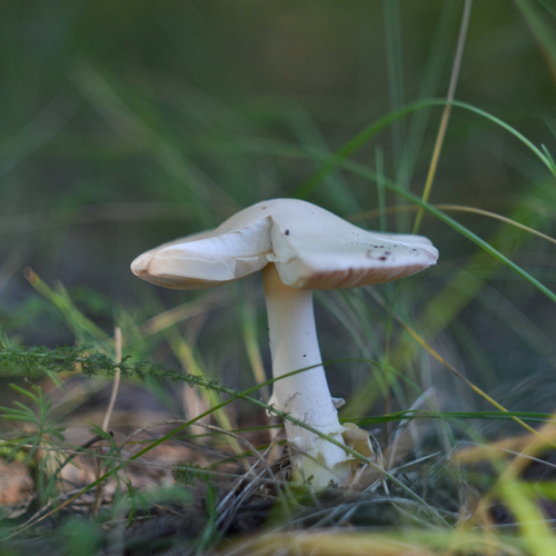 Photo #13929881