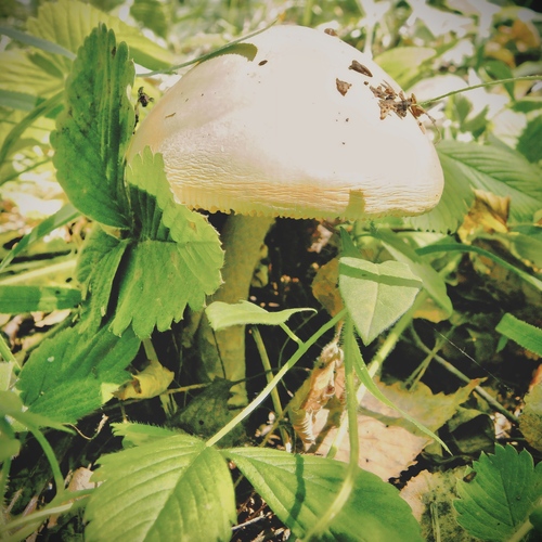 Photo #13929892