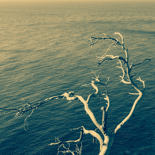 Photo #13929895