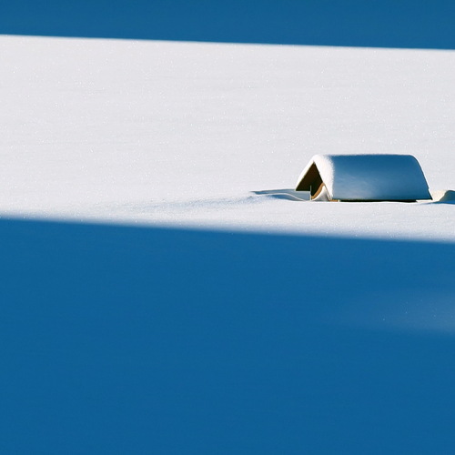 Photo #13929967