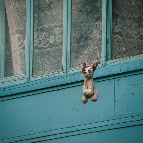 Photo #13929974