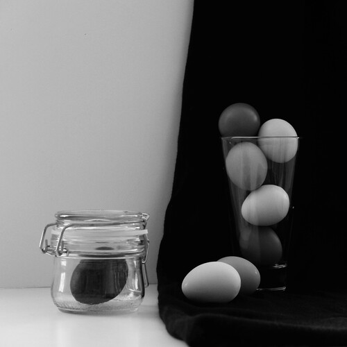 Photo #13930097