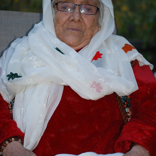 Photo #13930160
