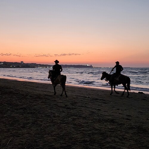 Photo #13930263