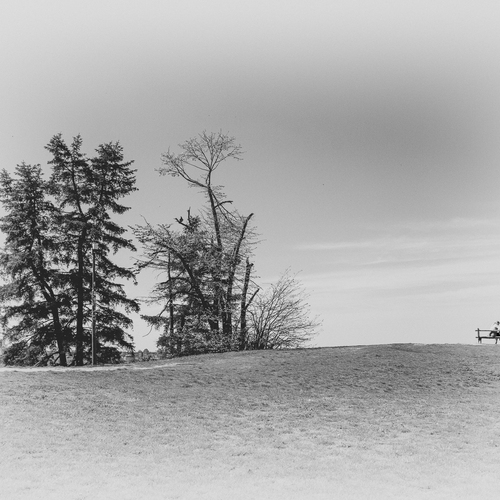 Photo #13930268