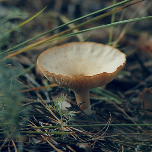 Photo #13930292
