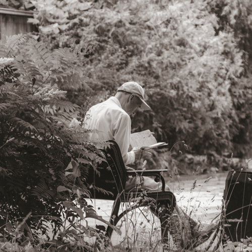 Photo #13930301