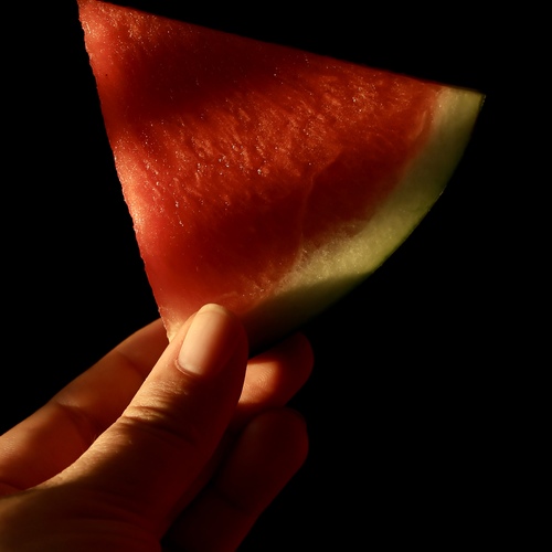 Photo #13930436
