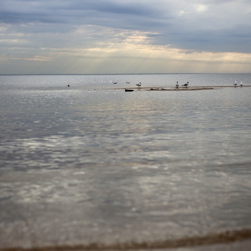Photo #13930496