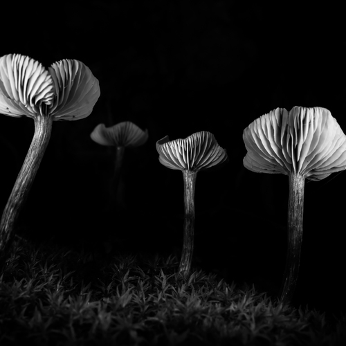 Photo #13930556
