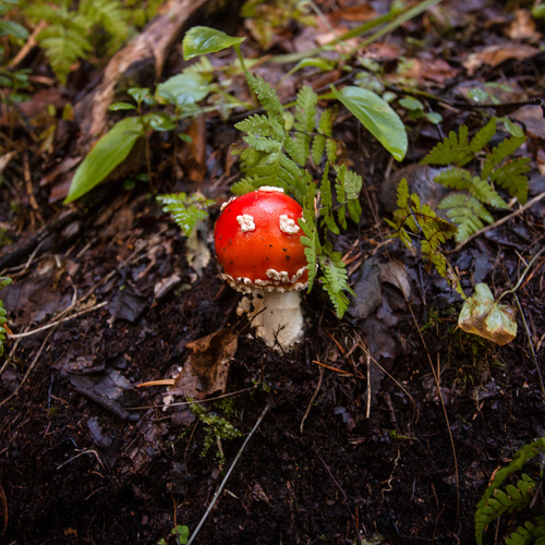 Photo #13930566