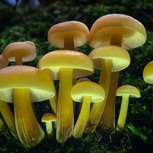 Photo #13930661