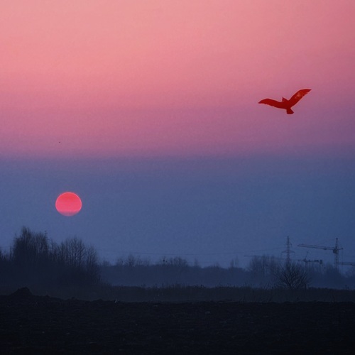 Photo #13930865