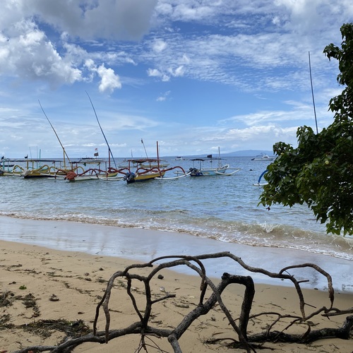 Photo #13930902