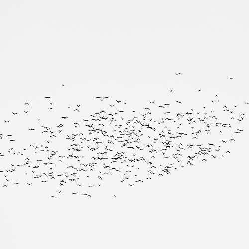 Photo #13930928