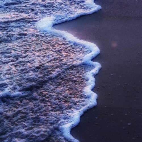 Photo #13930972