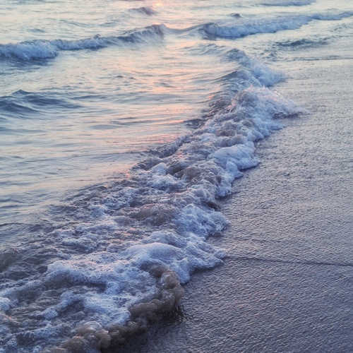 Photo #13930974