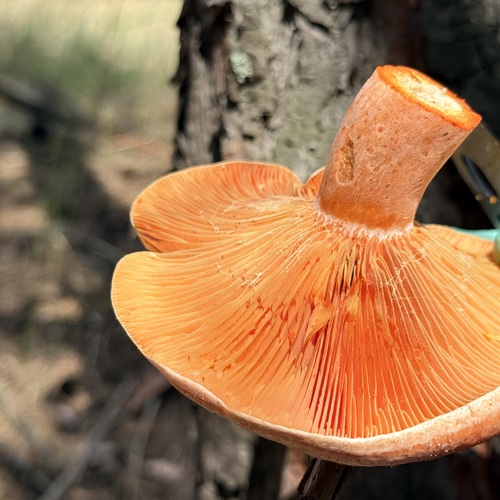 Photo #13931019