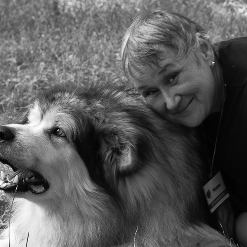 Photo #13931022
