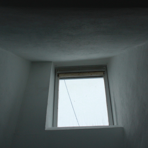 Photo #13931096