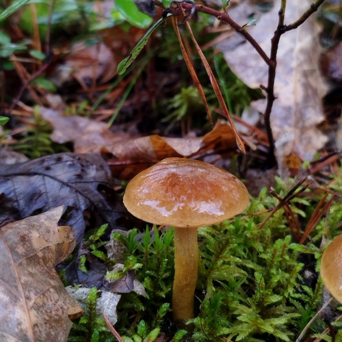 Photo #13931501