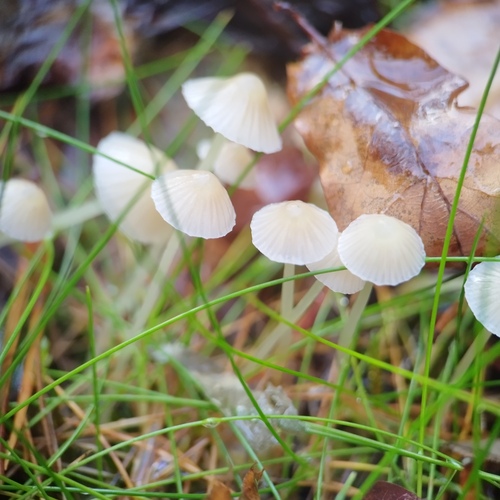 Photo #13931504