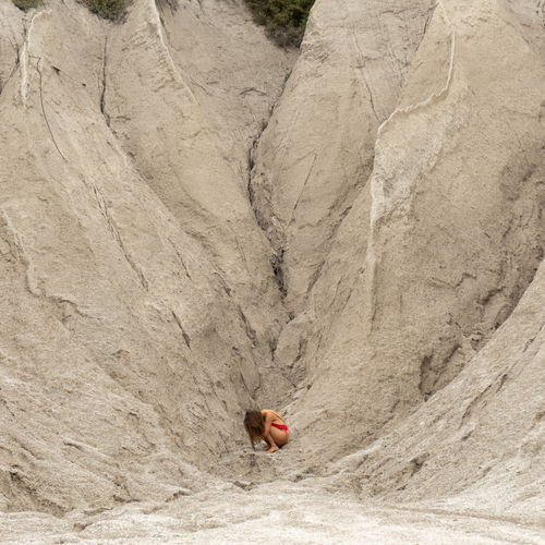 Photo #13931742