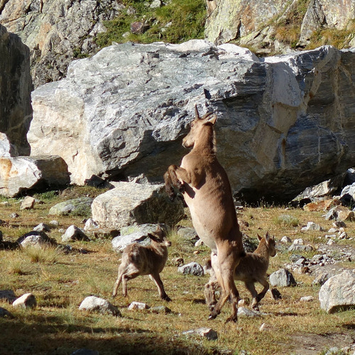 Photo #13931774
