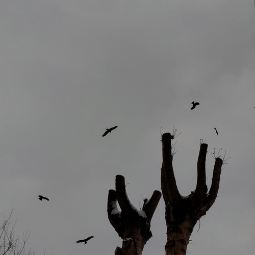 Photo #13931844