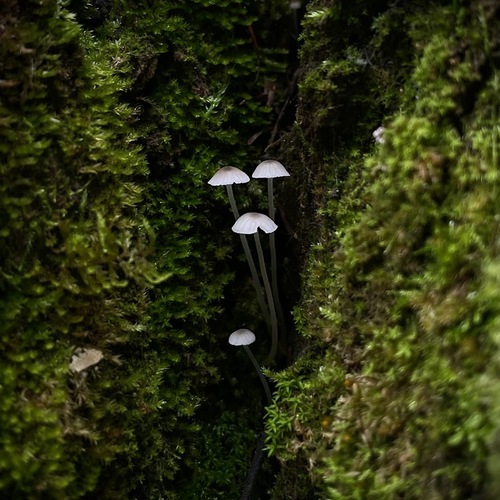 Photo #13931863