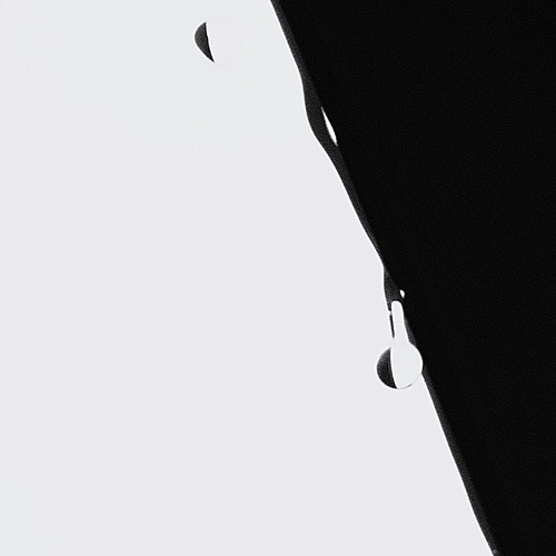 Photo #13932342