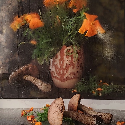Photo #13932363