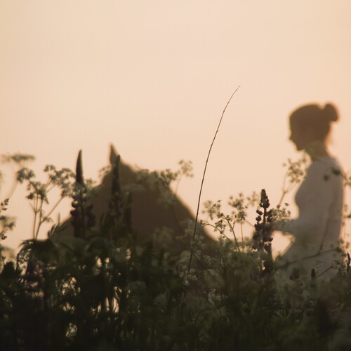 Photo #13932404