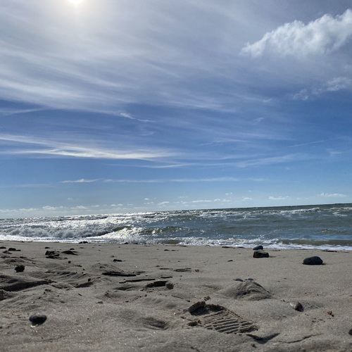 Photo #13932418
