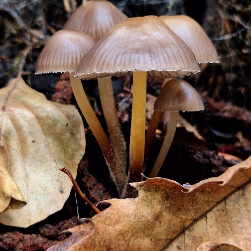 Photo #13932528
