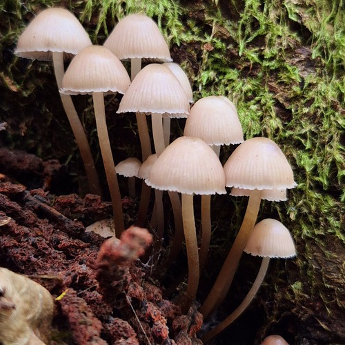 Photo #13932529