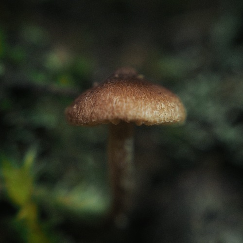 Photo #13932557