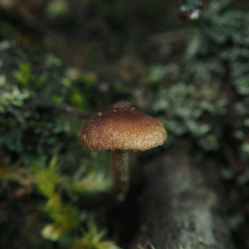 Photo #13932558
