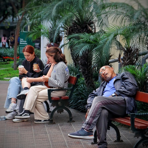 Photo #13932624