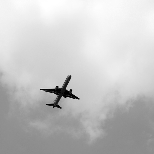 Photo #13932657