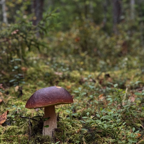 Photo #13932710