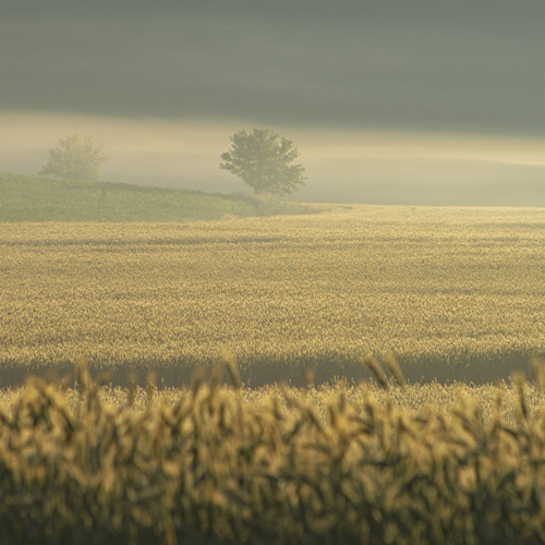Photo #13932736