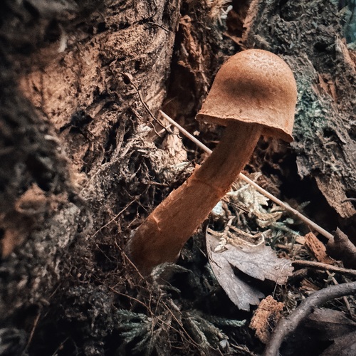 Photo #13932798