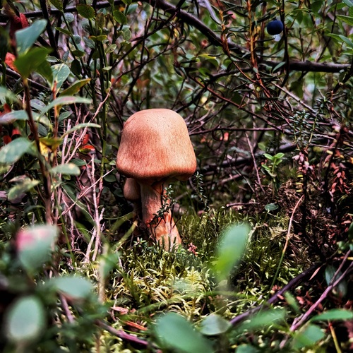 Photo #13932800