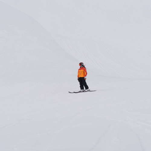 Photo #13932842