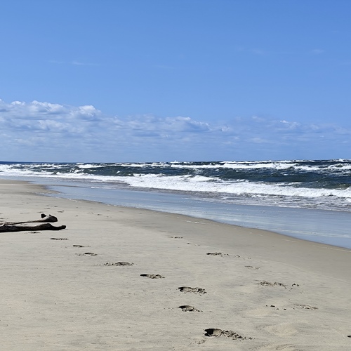 Photo #13932866